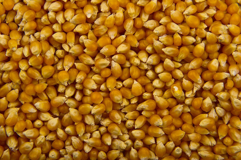 Shipping Southwest Popcorn