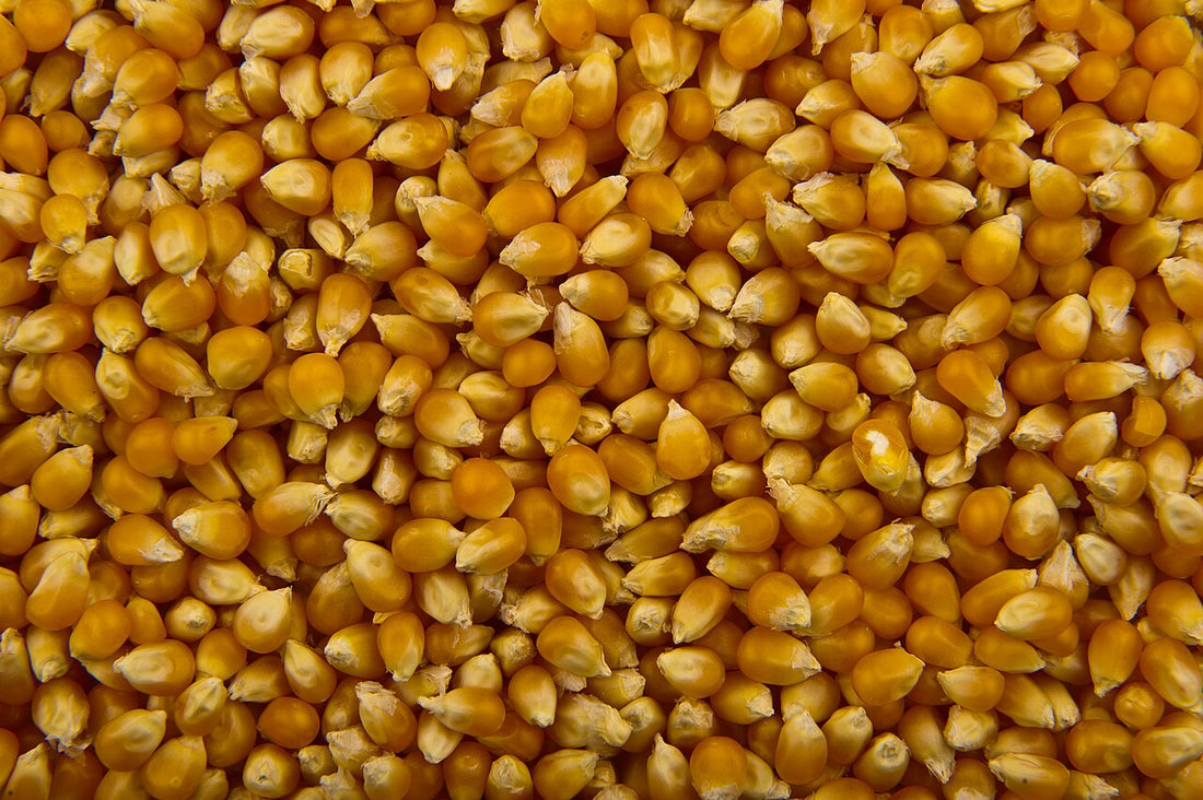 Shipping Southwest Popcorn