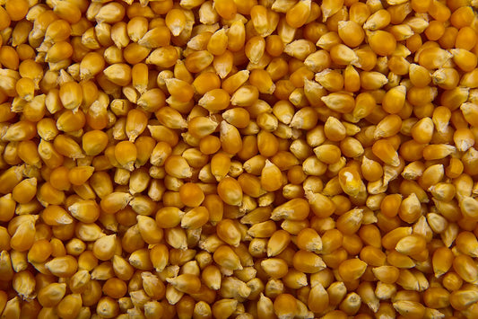 Shipping Southwest Popcorn