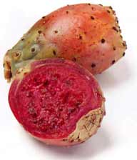 Prickly Pear Popcorn