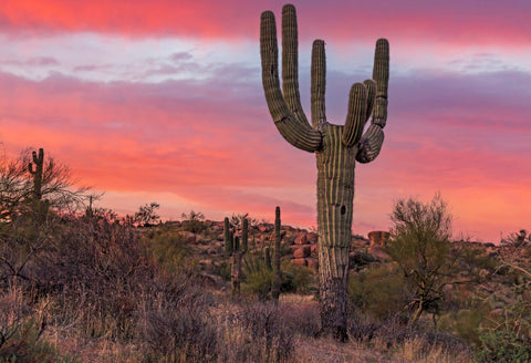 Best Arizona Gifts